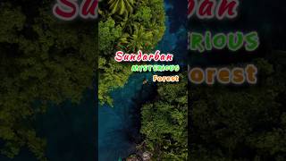 Sundarban||world's largest mangrove forest #sciencefacts #facts #shorts