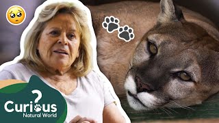 Founding A WILDLIFE SANCTUARY! 🥺 | Predator Pets | FULL EPISODE | Curious?: Natural World