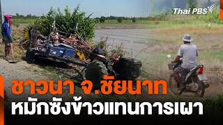 ชาวนา จ.ชัยนาท หมักซังข้าวแทนการเผา | จับตารอบทิศ | 17 ธ.ค. 67