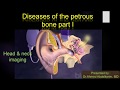 pathology of the petrous bone I