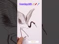 let s learn drawing skill with skilled people shorts رسم لایک