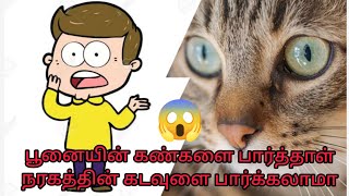 பூனையின் கண்களை பார்த்தாள் நரகத்தை பார்க்கலாம்/She looked into the cat's eyes and saw hell/Who Am I