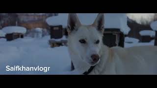 A Journey North | Norway Travel Film  4K||#saifkhanvlogr#norway#north
