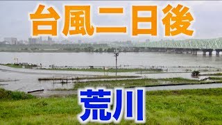 台風二日後の荒川の様子【台風19号】