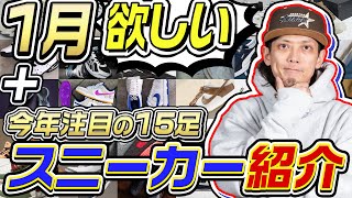 【スニーカー】1月に欲しいと思っているスニーカー+今年注目モデル15足を紹介！！(2024年1月月)【ナイキ/アディダス/コンバース/ニューバランス】