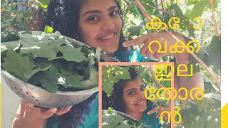 #നാടൻ കോവക്ക ഇല  തോരൻ kerala styles  #ivy gourd leafs stir fry