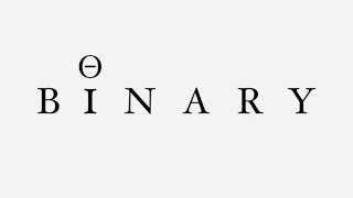 Binary Company Logo