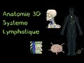 Description Anatomique 3D du Système lymphatique (Naturosoutien)