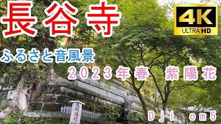 ふるさと音風景～2023年春 長谷寺～