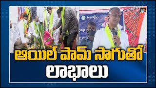 ఆయిల్ పామ్ సాగు తో లాభాలు | Minister Harish Rao About Palm Oil Cultivation | 10TV News