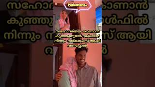 സഹോദരിയെ കാണാൻ കുഞ്ഞനുജൻ ഗൾഫിൽ നിന്നും സർപ്രൈസ് ആയി വന്നപ്പോൾ#surprisemoments #brothersister