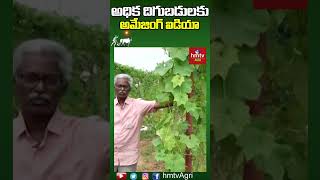 అధిక దిగుబడులకు అమేజింగ్ ఐడియా | #agriculture #organicfarming #naturalfarming #agrishorts #hmtvagri