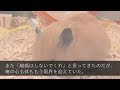 【修羅場】浮気した嫁と心が壊れたまま生活していたら…