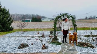 A delightful Christmas tour of our gardens and our home