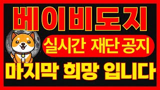 실시간) 베이비도지 실시간 재단 공지!여러분 이게 마지막 희망 입니다 빠르게 시청하세요,  #베이비도지 , #코인베이스  , #상장 , #상장빔 , #업비트 , #빗썸