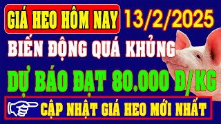 Giá heo hơi ngày 13/2/2024 - QUÁ KHỦNG, DỰ BÁO SẼ CÁN MỐC 80.000 ĐỒNG/KG