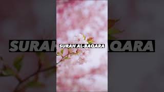 SURAH AL-BAQARA |Ayaat 49+50| Recitation by Mishary Rashid Alafasy | Islam The Heavenly Path
