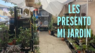 Les Presento Mi Jardín!