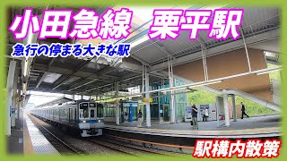 小田急線、栗平駅構内を散策！(Japan Walking around Kurihira Station)