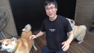 【犬飼ってる人必見！】犬が喜ぶことベスト３