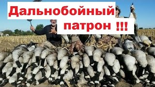 Дальнобойный патрон! Патрон на гуся. Азы!