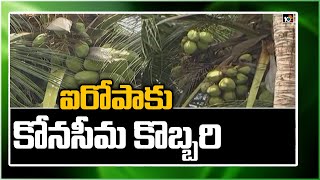 ఐరోపాకు కోనసీమ కొబ్బరి | Farmers Happy With Coconut Imports To Europ Countries | Matti Manishi |10TV