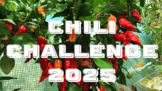 ALLE INFOS zur #chilichallenge2025 ! Offizielle Einladung an euch alle 🎊😬