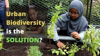 Urban Biodiversity: our【SOLUTION】to climate problems