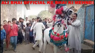 Shadi Dance of Horse || Horse ka dance || Horse ka quite dance || Break dance of horse | Dance horse