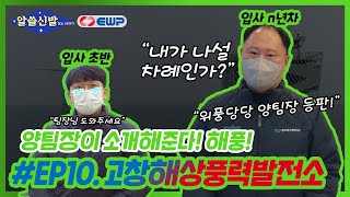 [알쓸신발] EP.10 해상풍력발전, 알고 보면 어장의 달인?! │ 알아두면 쓸데있는 신비한 발전소 이야기