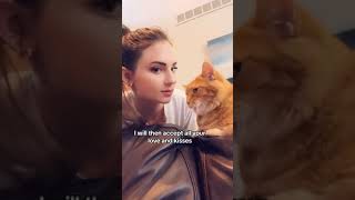 A day in the life of Chonk! #cat #catvideos #adayinmylife #cats