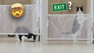Where is Exit - Up or Down?