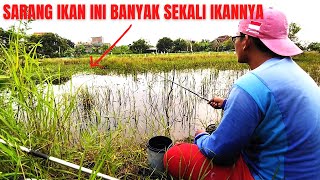 🔴 Mancing Ikan di sarang ini pasti pesta Strike !! Strike bertubi tubi pasti Happy bersama mr d