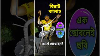 কালাচ সাপ থেকে বাঁচবার উপায় জানুন | Krait Bite Remedy | Karat Saamp #snakevideo #venomous #viral