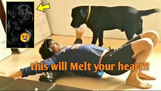 Sushant Singh Rajput best memories with his Dog Fudge | You will be missed Sushant Singh Rajput RIP