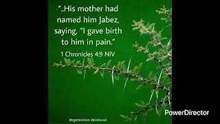 What’s in a Name?