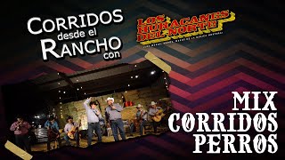 Los Huracanes Del Norte - Mix Corridos Perros [Corridos Desde El Rancho]