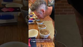 What is Cupping Part 2 - Ask a Barista