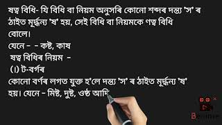 ণত্ব বিধি//ষত্ব বিধি//অসমীয়া ব্যাকৰণ...