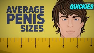 Average Penis Sizes with Best Sex Positions | Quickies