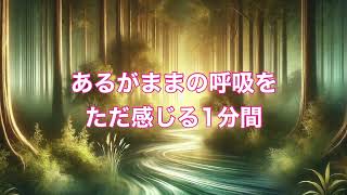 あるがままの呼吸をただ感じる1分間瞑想 by みっちゃん