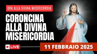 La Coroncina alla Divina Misericordia di oggi 11 Febbraio 2025 - Festa della Madonna di Lourdes