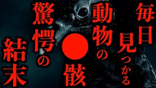 【ゆっくり朗読】毎日見つかる動物の●骸。予想外の結末な2chの怖い話「毎日見つかる」「悪徳霊能者の見分け方」「Aさんは休みですか？」「毎年見る」「いただき様」【2ch怖いスレ】