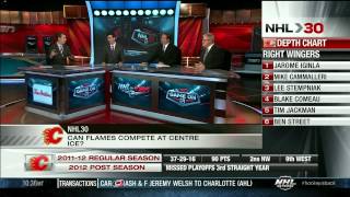 NHL 30 : NHL Teams season 2012/13