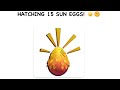 HATCHING 15 SUN EGGS! ☀️🌞 (FT. FRIENDS!) // DRAGON ADVENTURES // SOLSTICE EVENT // ROBLOX //