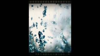 ENERGETICS OF LARGE TREE IN THE FORREST | SCALAR ENERGY FIELD