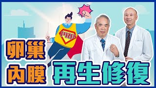 【未來生育小學堂】擔心子宮內膜太薄植入失敗？茂盛PRP懷孕救星成功改善子宮內膜環境 #試管嬰兒