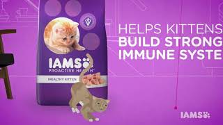 IAMS Pet Cat Food