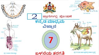 ಪ್ರಾಣಿಗಳಲ್ಲಿ ಪೋಷಣೆ | PRANIGALALLI POSHANE | CLASS 7TH | SCIENCE | CHAPTER 2 | KANNADA MEDIUM