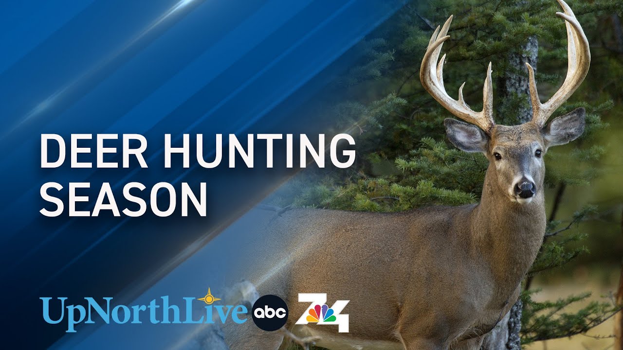 Deer Hunting Season Kicks Off In Michigan: What You Need To Know Before ...